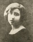 Madriguera